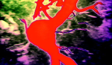 Cover Figure